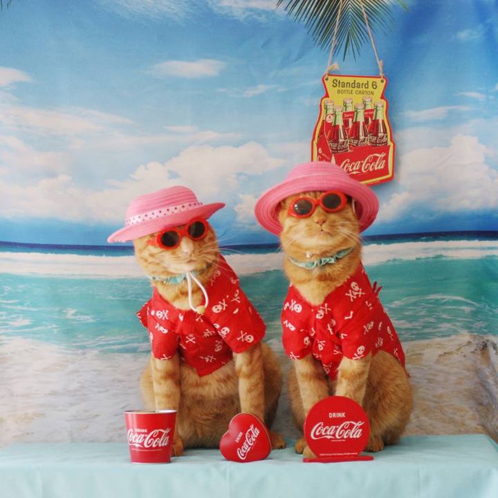 1f7f6068 700b 4eea 8dae 396e5f3c6bf2 1755061414474