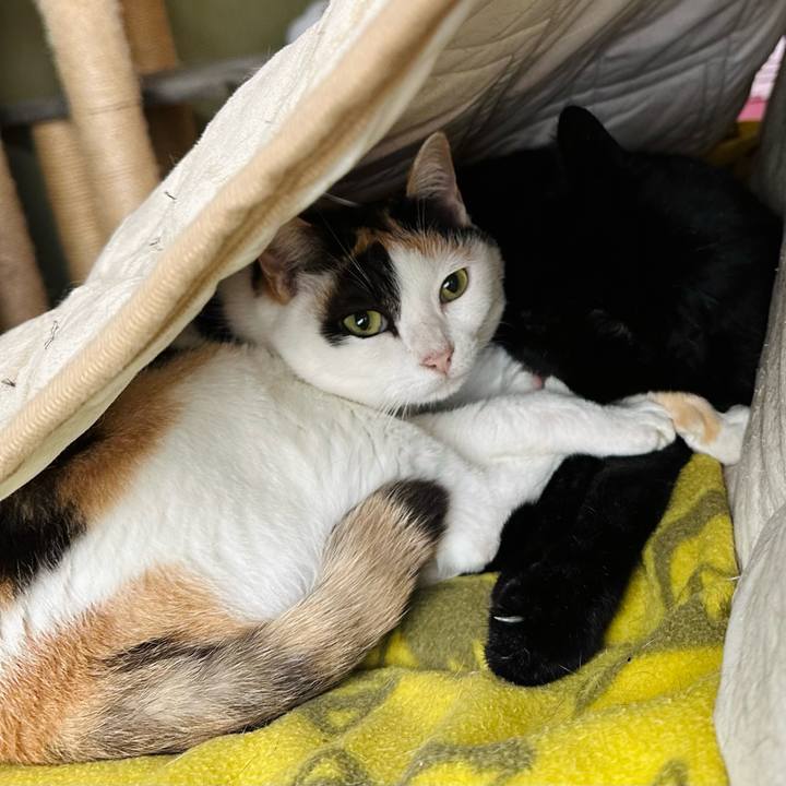 1f7f77e4 2fa1 4f08 8159 8206b88956b0 1669945049073