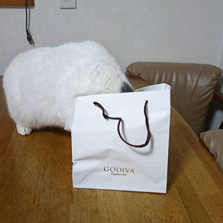 1f801896 28c4 4c37 bbe7 8b0139f977f8 1546072126461