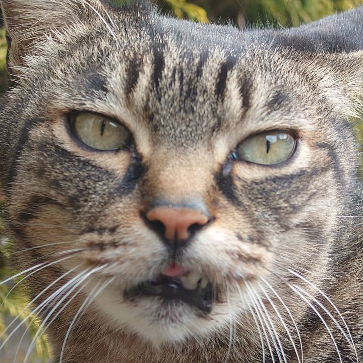 1f803ac6 6042 4745 b7cf ef6f0aa81824 1737521210545