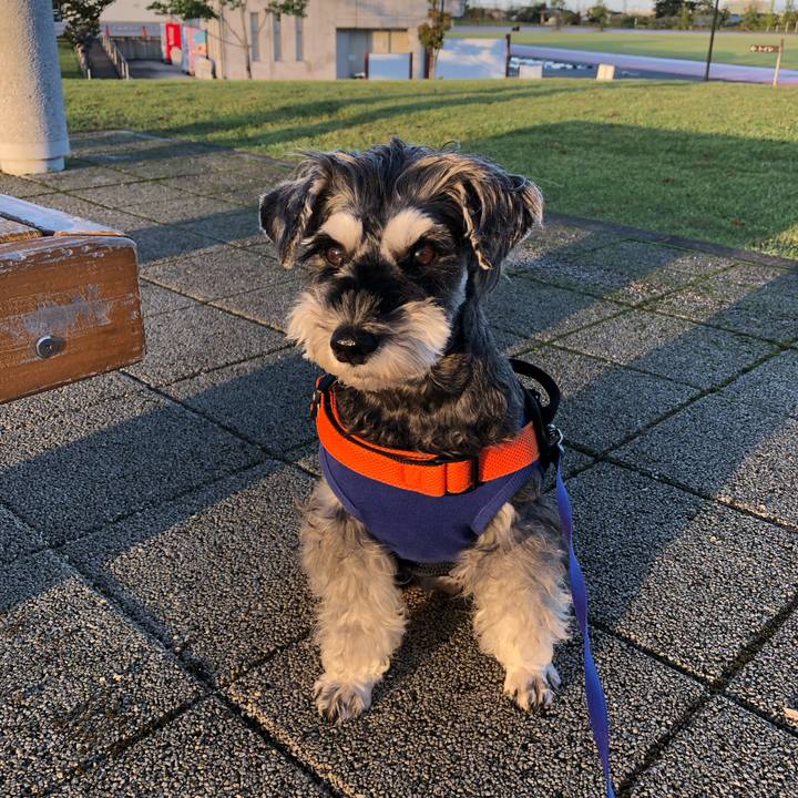 1f803d37 de8a 4b23 8293 ef7c14b29933 1697924272147