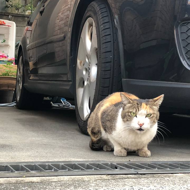 1f8070cf 6e9f 4087 a9d0 56403e7bd648 1556481688522