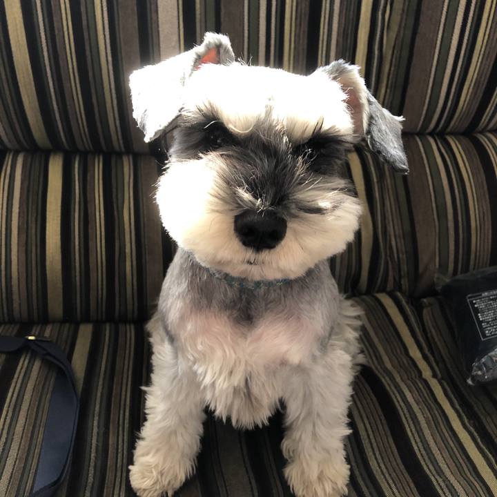 1f80a937 75db 4396 98f2 686235b438a2 1547945198691