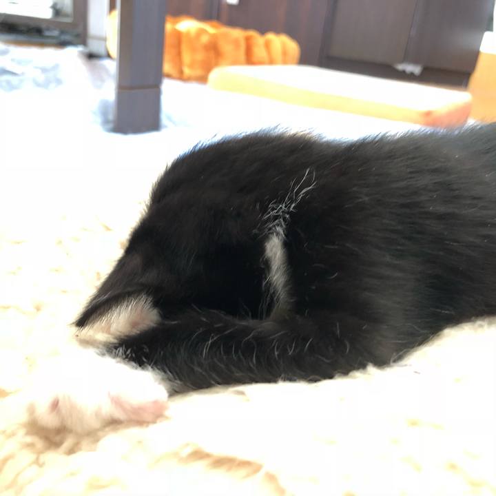 1f80c28f 6350 4e63 8dba 407c2d3125f4 1537594023059