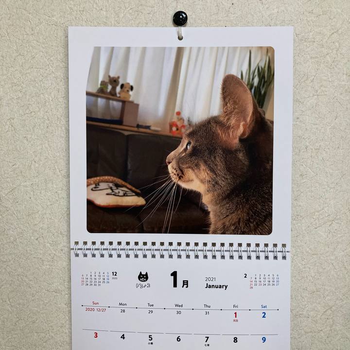 1f80d247 4f33 4ebb 8d40 4057ce7873ff 1609464864211