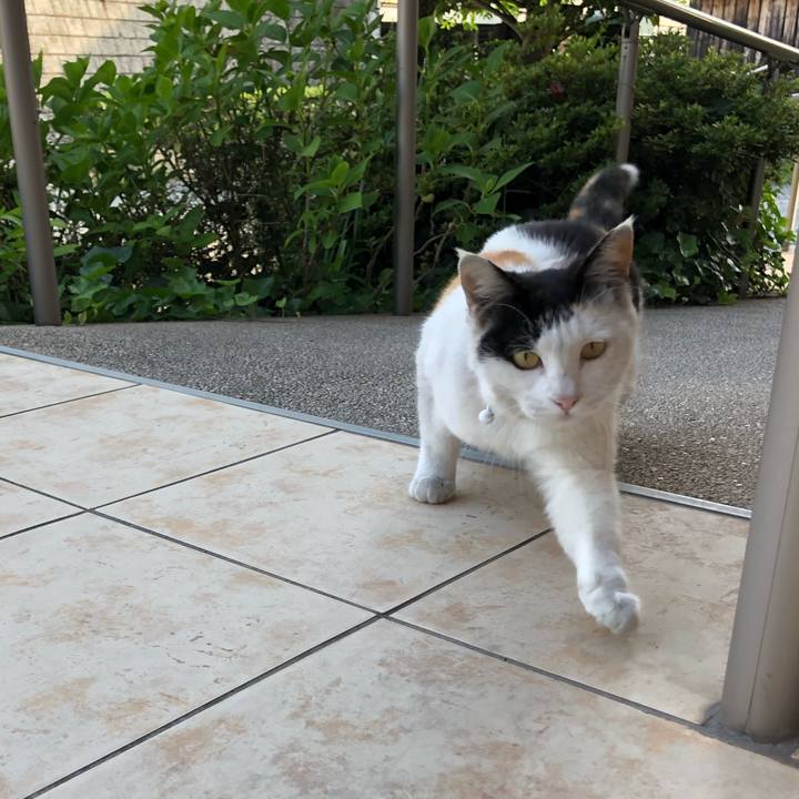 1f80f547 0f92 4c74 979b 7250ac7b6bfb 1620597920452