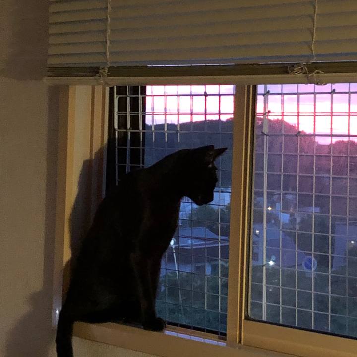 1f80f552 1d50 4a04 9fbb c53e68915ca5 1660506475515