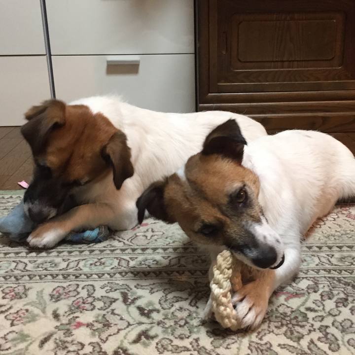 1f813ceb 7c9c 44c1 abf2 b70bb9d100f6 1532777153735