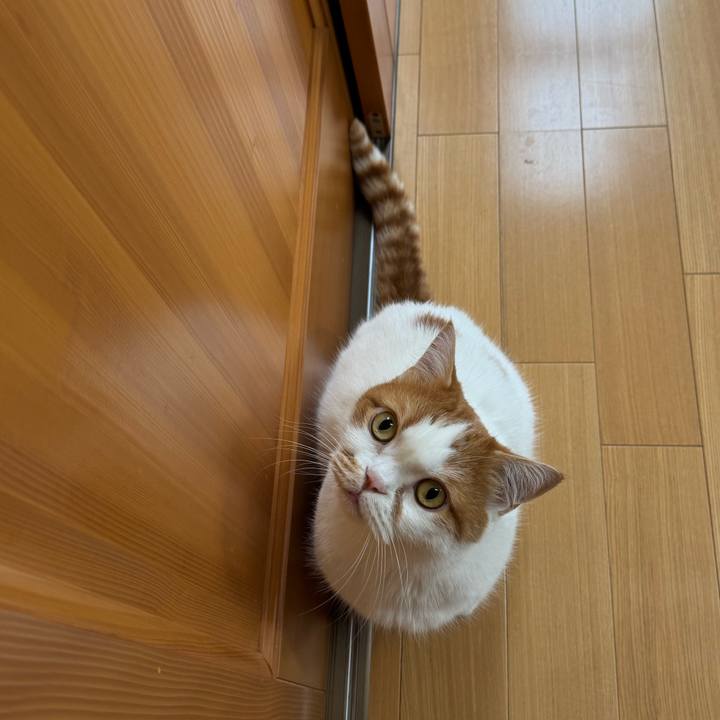 1f8146b7 e9a1 4293 8899 1426af93d4a1 1761877919827