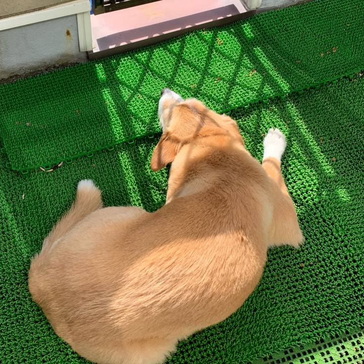 1f815cbc 2426 43db 8728 ca73a015a675 1587545587230