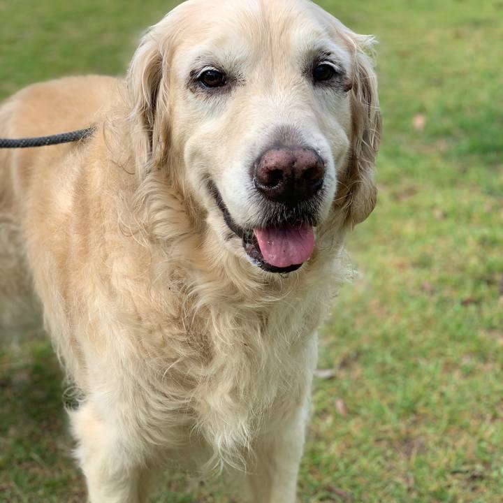 1f81e68b 5a9e 4445 8258 f0cf31ff2e64 1560686831731