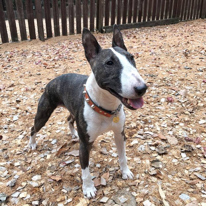 1f821615 77be 4b80 b44d 92f110a51af2 1510978441893