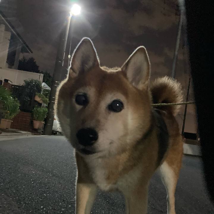 1f821e56 f54b 494e a54c 60b38c2cea96 1696255238845