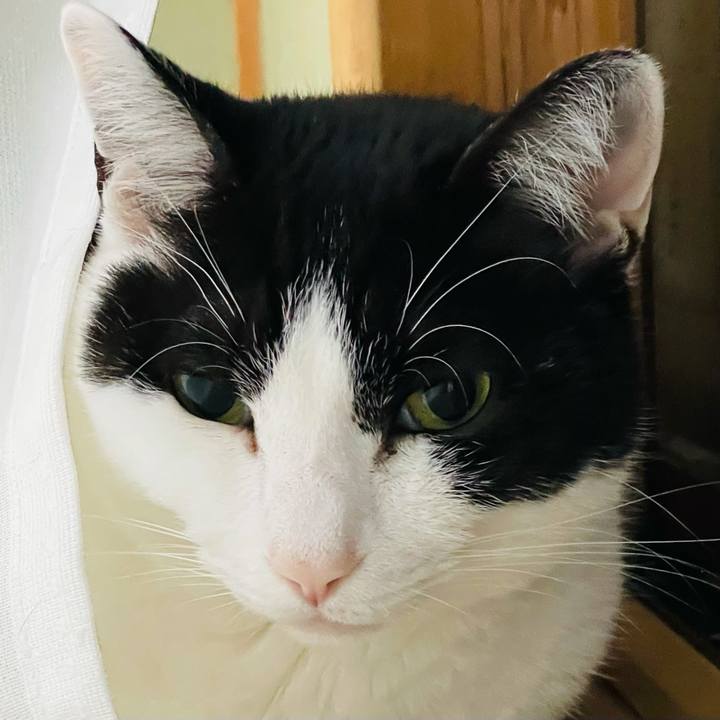 1f8231ae 630d 4761 b5e7 690376ed325b 1619835847393