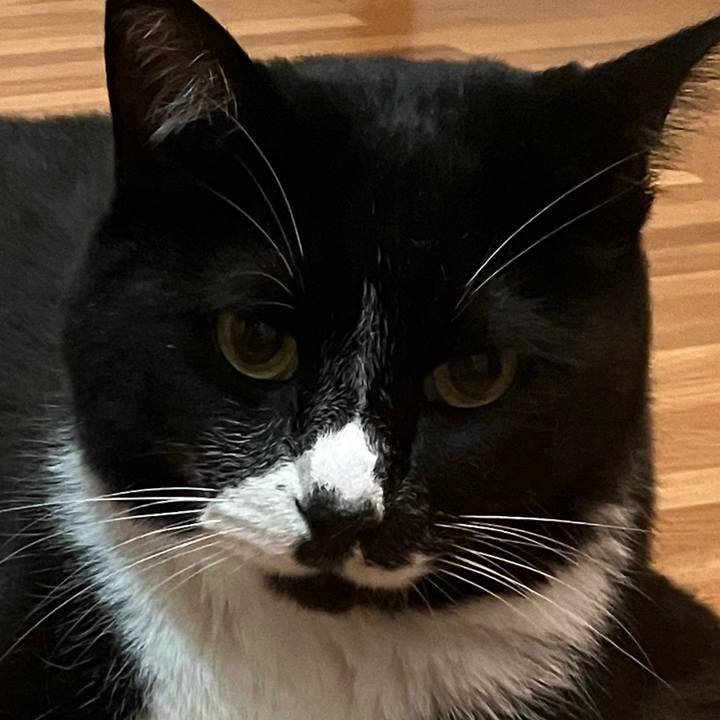 1f828147 76e5 4666 973f ef77092a0e3b 1763787243583