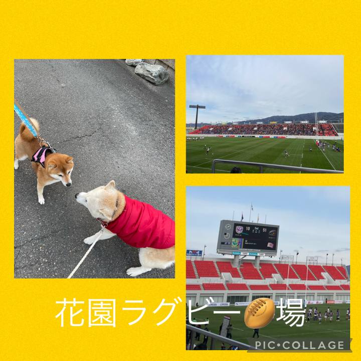 1f828511 949c 420c a64f 1bb8aacaacca 1674366894073