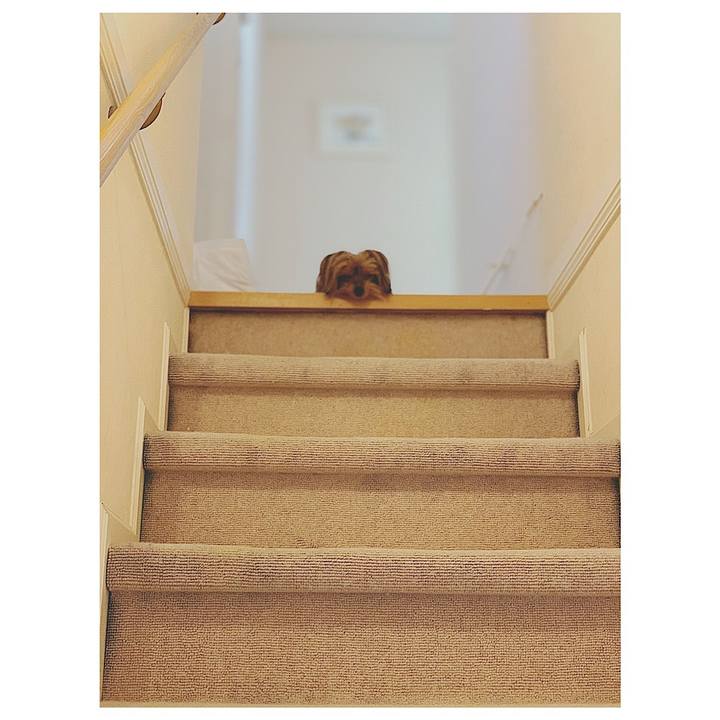 1f83277f dbcc 4d52 a6ca 04bea1a89f45 1554703495045