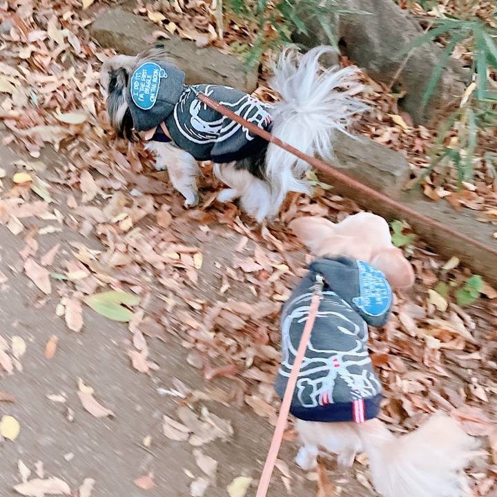 1f834fb9 563a 493c aa1d 276c891ef088 1667814689554