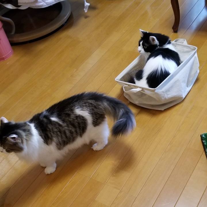 1f835955 4212 41c0 ba9b a50b89505fbd 1569536944559