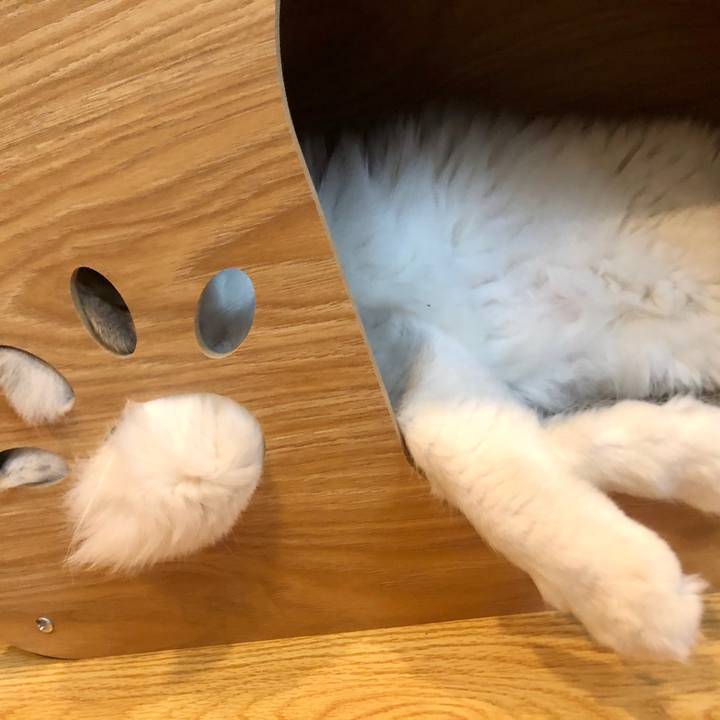 1f8362d2 0685 46c8 938e 204e48783ebf 1607041965289