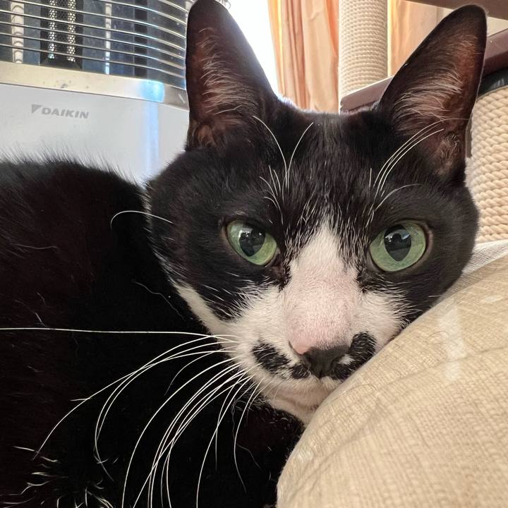 1f83f6d6 fdb2 4bf5 8eff 36990f35067d 1769379841801