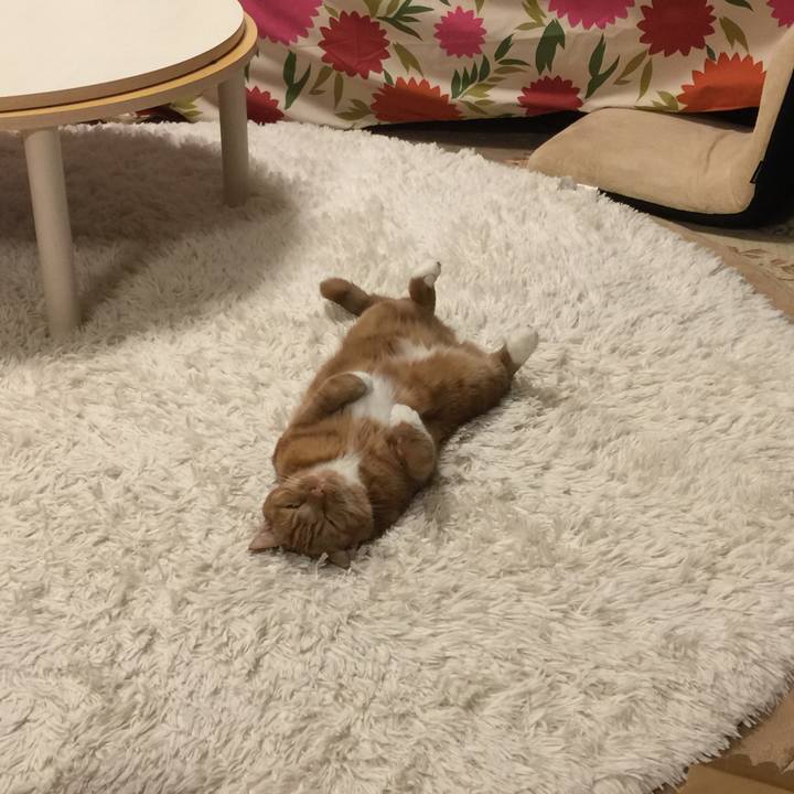 1f840102 9f8c 45be 83c6 d6e27755cc06 1542374304281