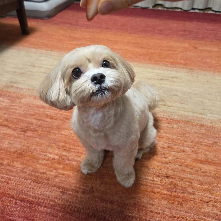 1f84364d 18e8 421c b1b0 15ed09897f13 1765285636295