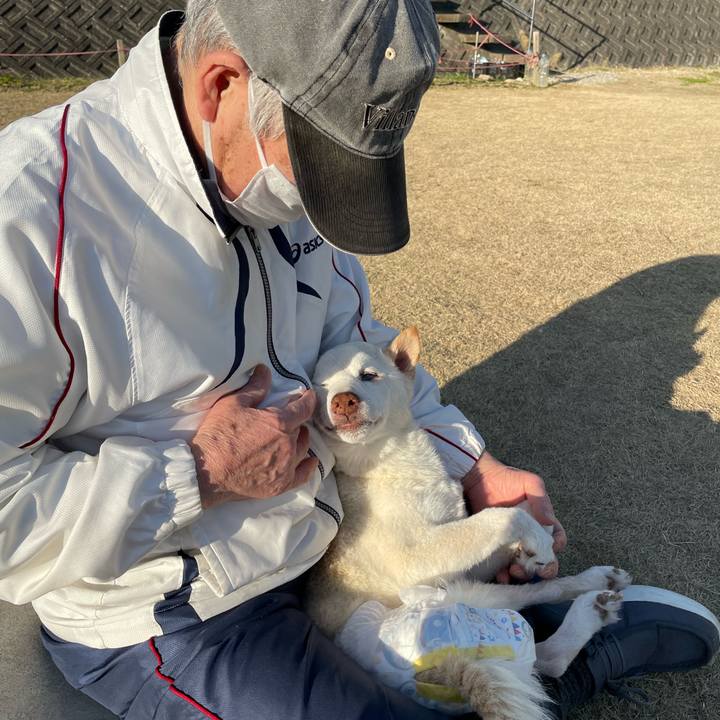 1f845e6c 4ee7 488b 82ed cd072a388577 1677581466362