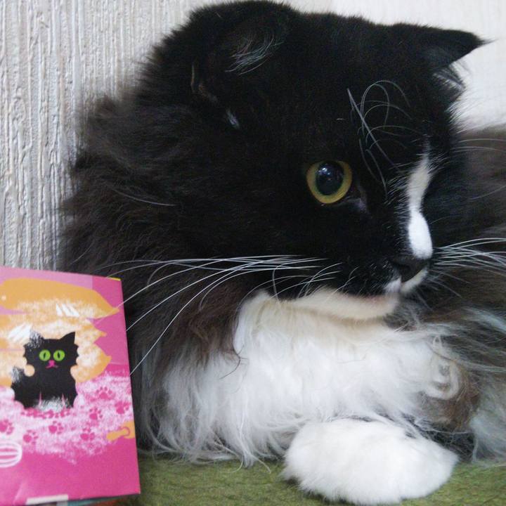 1f847d07 0cf9 4ce6 98e8 306b169de0fb 1663498764133