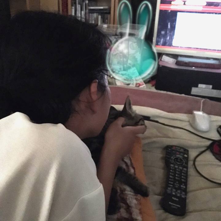 1f847e47 6f77 4917 9dc9 a42274d21408 1537773057548