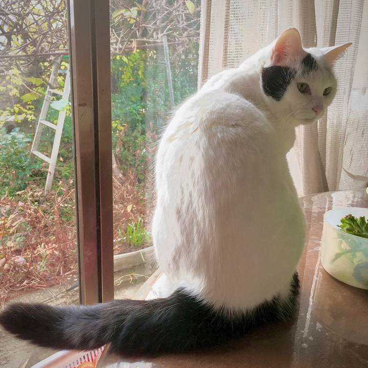 1f8494d5 2980 496e bdb0 265f28619baf 1574924392315