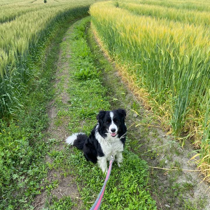 1f849caf f8c0 48ff 9208 a537b56494ad 1619227906310