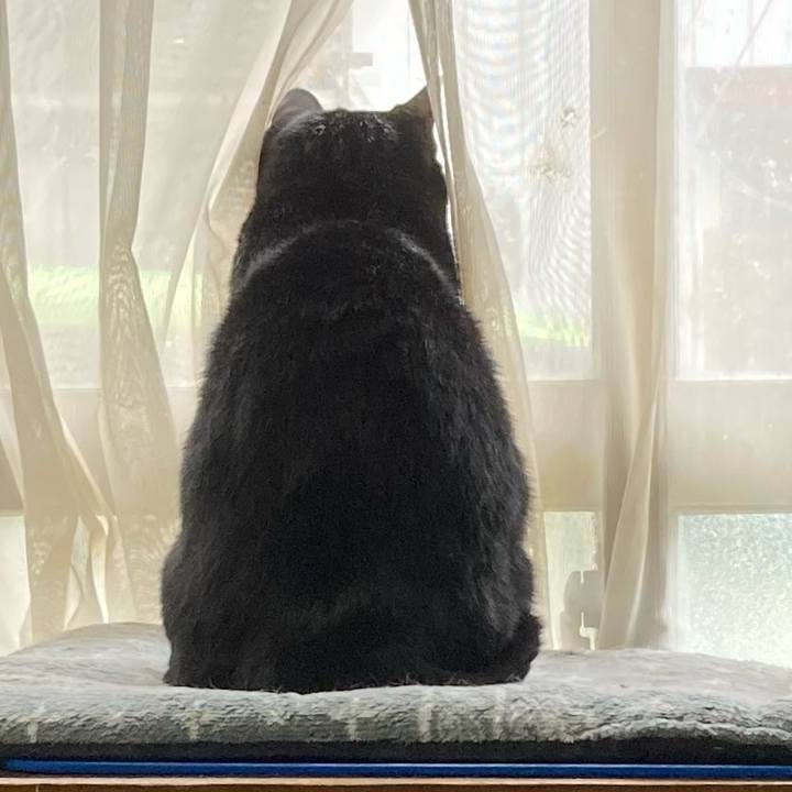 1f84de4b c09b 4b56 a7b3 12fb6ff60f1d 1697345158269