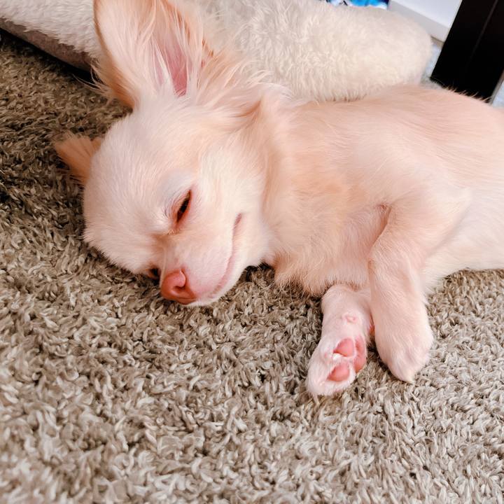 1f850ffe ad61 4cc0 98ef b107e30ce13b 1655870607001