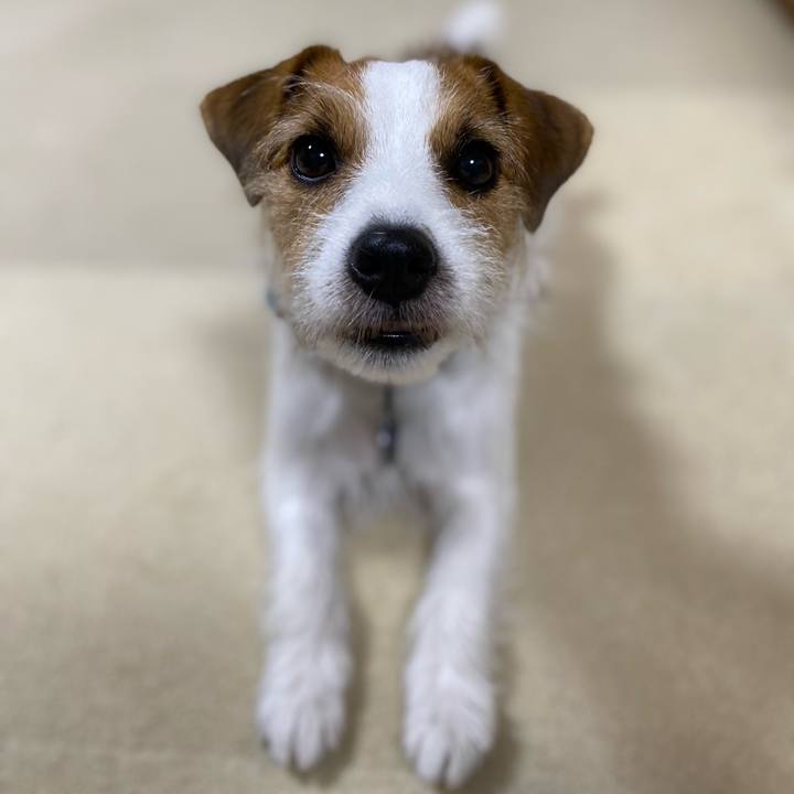 1f8522bf c48f 4ffb 8089 4c9d1745f173 1696335154643