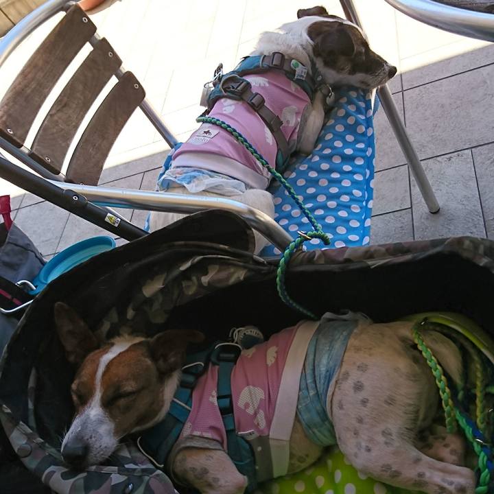 1f853376 8b77 49bc b4ad cf23ba936a87 1591767027580