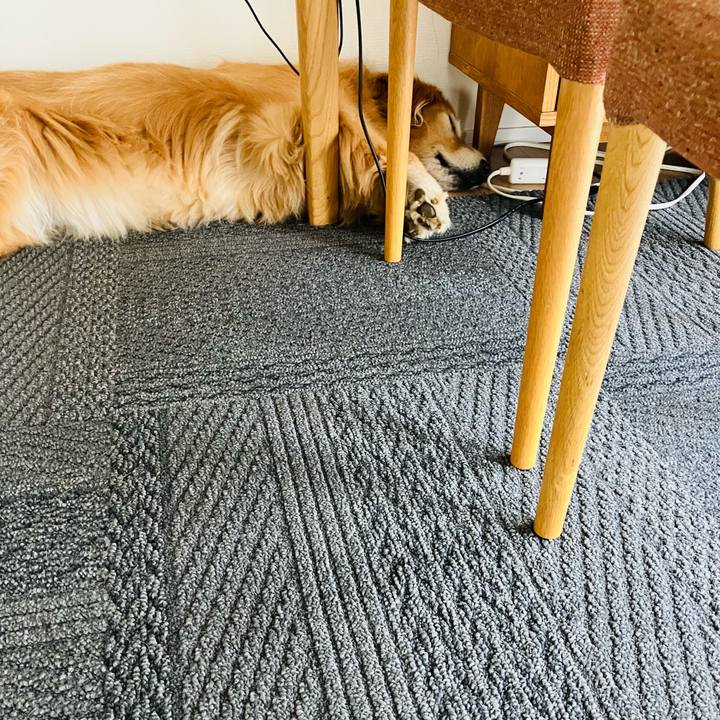 1f855842 c2c9 4333 85ff bbc260abd686 1760759852187