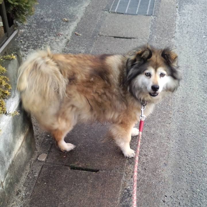 1f856791 9e1e 4336 a850 43b9832205ba 1617435453928