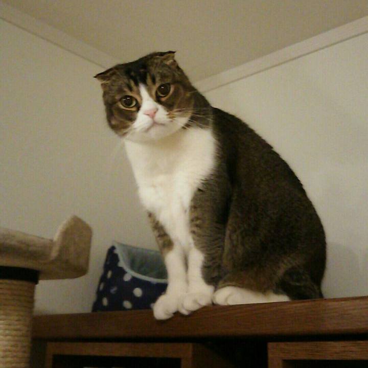 1f8568bd 1a6a 4974 906c 118b9f59aee4 1520638027398