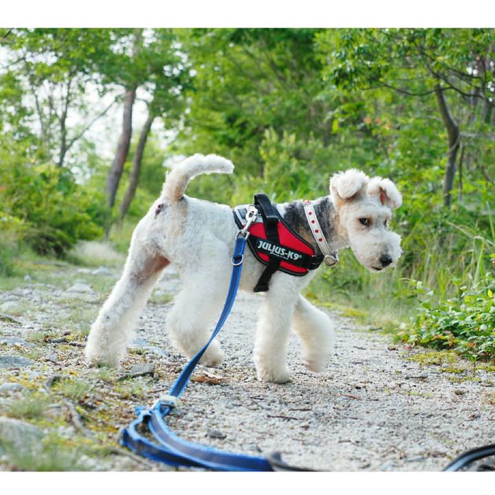 1f8575da b48a 4e8a 865a a878a17cf407 1529110166893