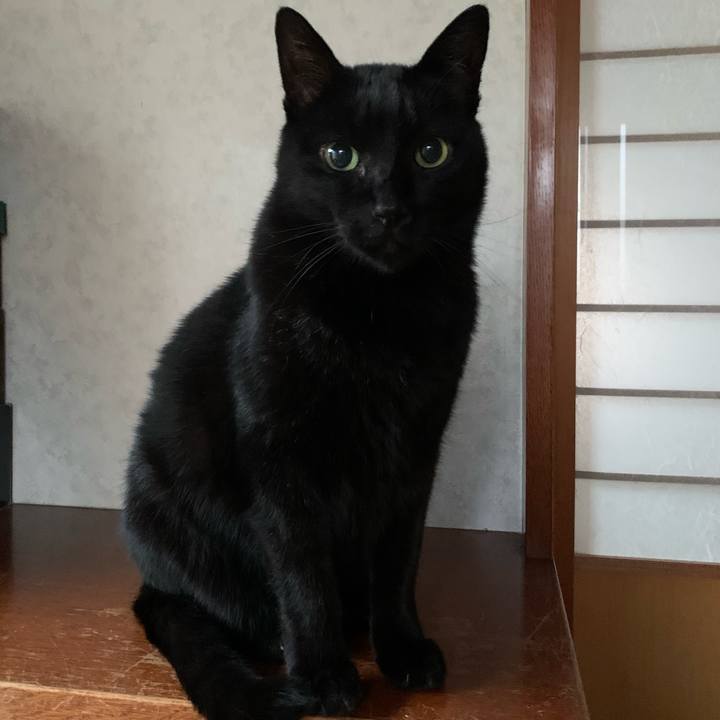 1f8596e8 eab6 4088 8bab dd330ddbd0bd 1576373543629