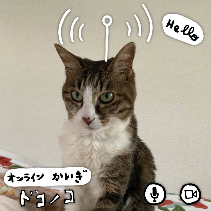 1f85c53d b0c3 4669 a426 9d68885e74b7 1591358094401