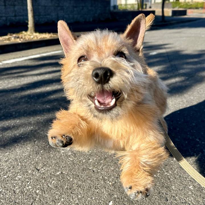 1f85f862 4d3f 4059 b6a1 d39815834e31 1710080514348