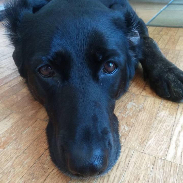 1f8605b2 419f 4756 934e 7648bcc9bcff 1586848351412