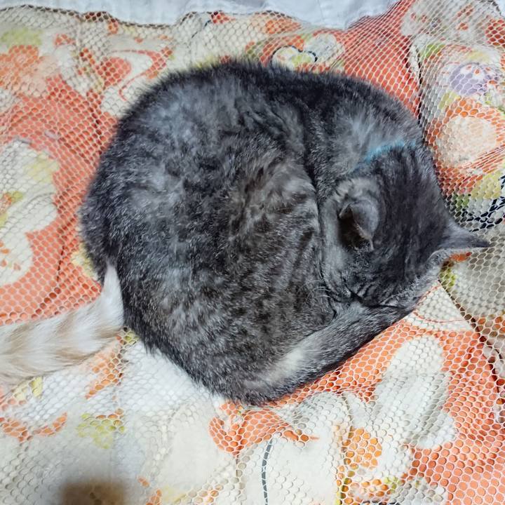 1f861153 d131 4c2d a426 dfa78441cc90 1569847290247