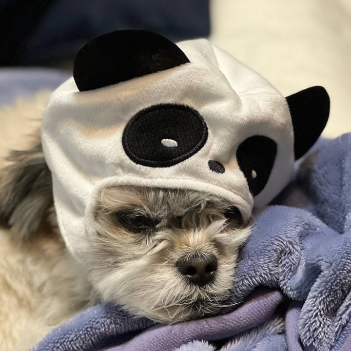 1f8611e9 8e44 4e8b 8e16 f0a68fce1eb2 1645779137698