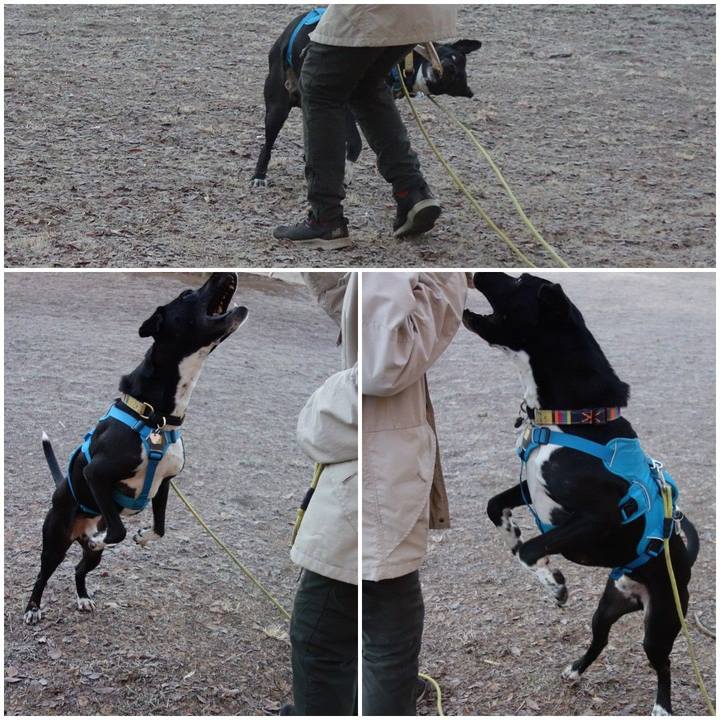 1f864e90 88bf 4fc7 a338 ff223fcfc8dc 1610495719123