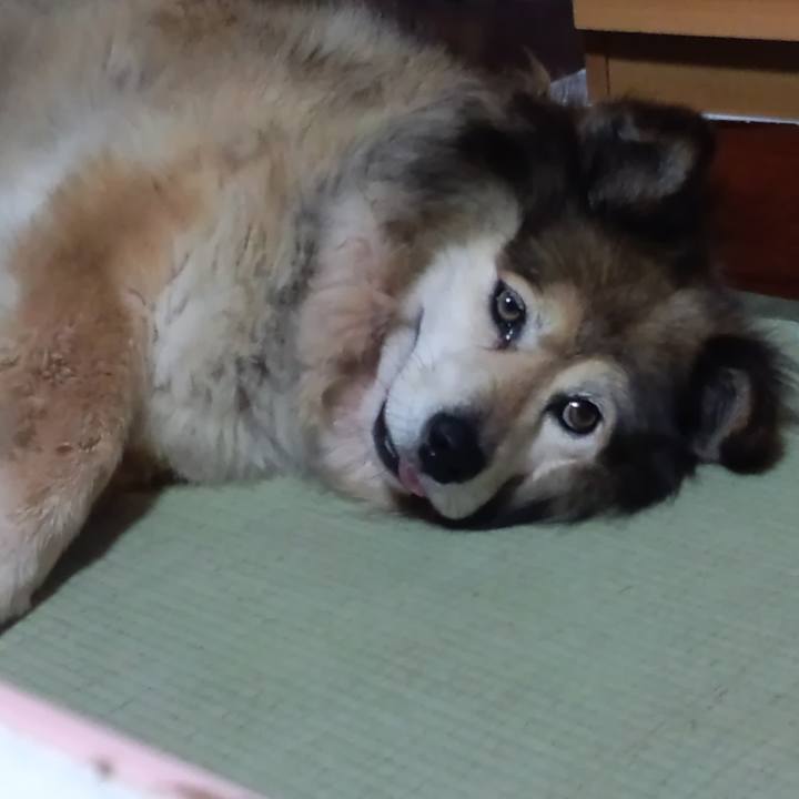 1f8684da d9ec 4c55 9b21 c172bee61321 1604809727201