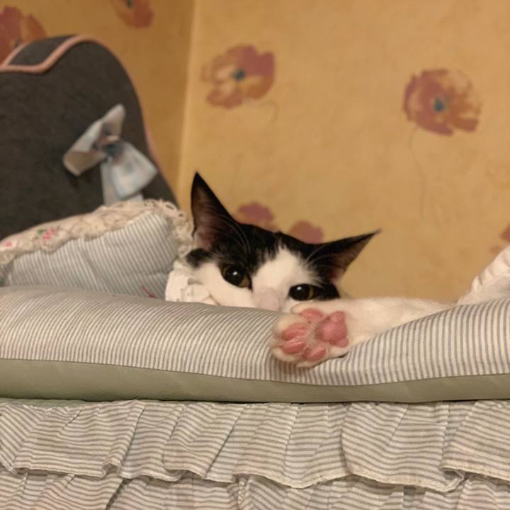 1f868605 37c2 4b21 bef9 af53097464d1 1562493357727