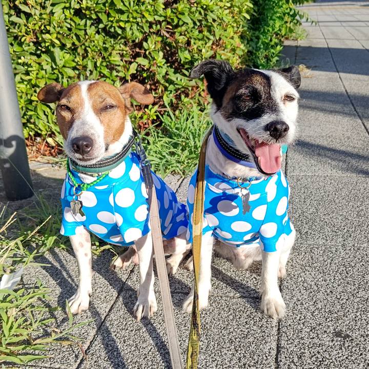 1f870811 b82c 4246 96da a63d5e16f7ea 1693432513511